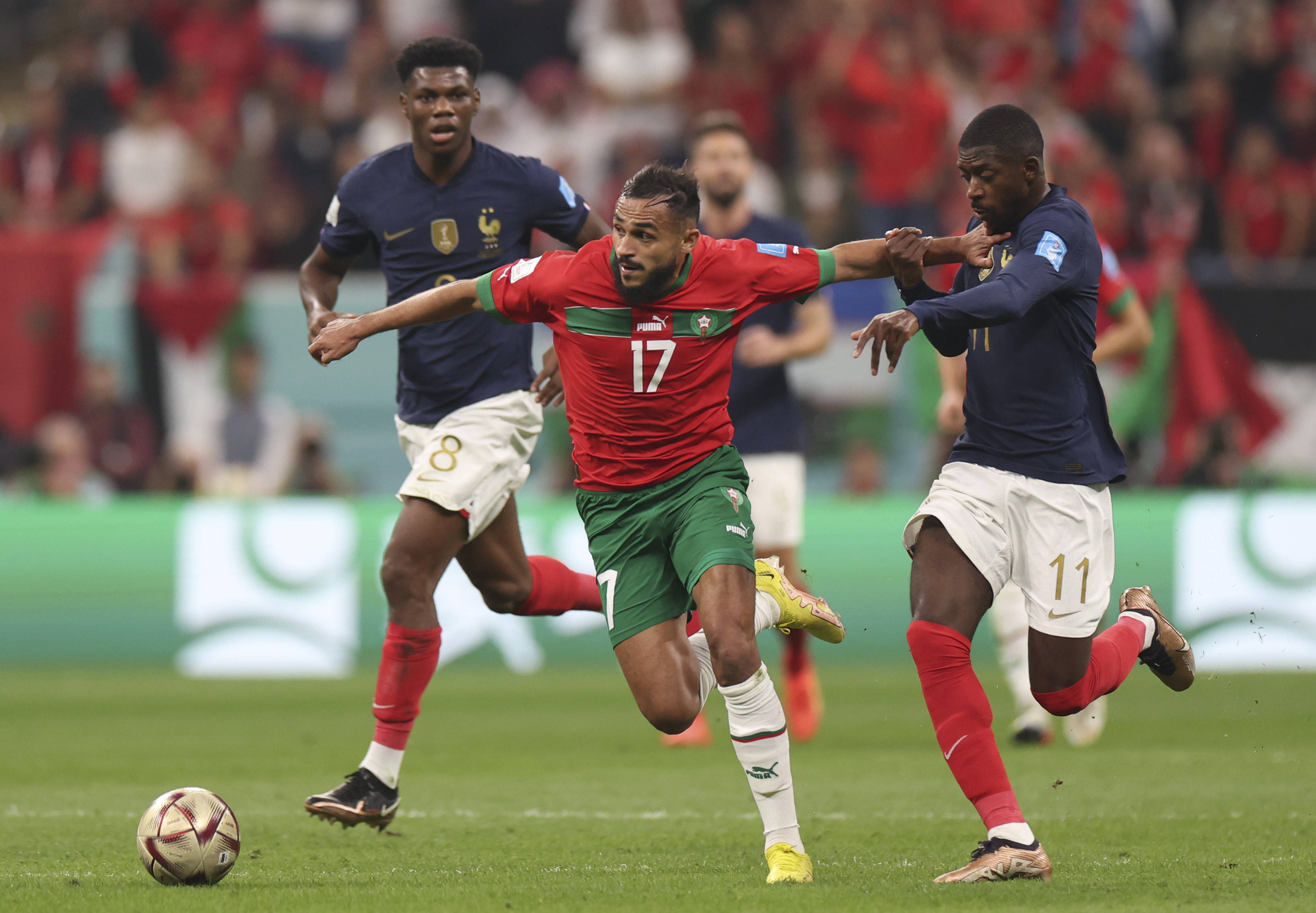 赛事数据溯 赛事数据溯